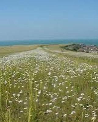 Beach, Hills, Food, Scenic Walks-the Kelp House. * Peacehaven